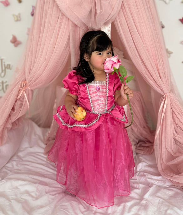 Mini Baby Aurora Luxe Princess Party Dress - Fox Baby & Co