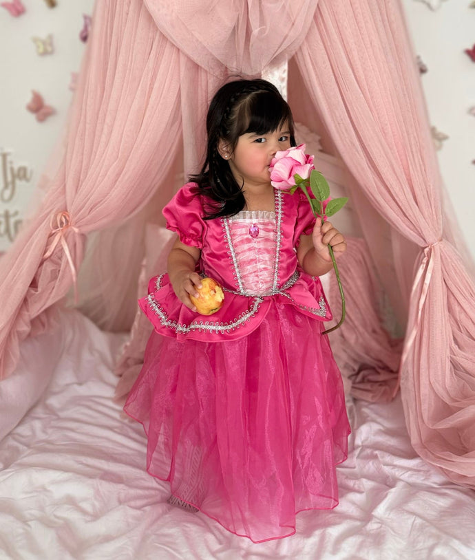 Mini Baby Aurora Luxe Princess Party Dress - Fox Baby & Co