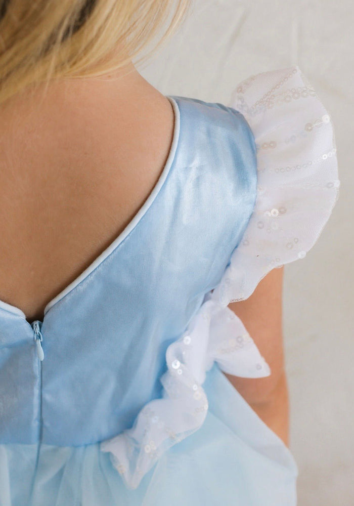 Cinderella Enchanted Castle Luxe Dress & Matching Gloves - Fox Baby & Co
