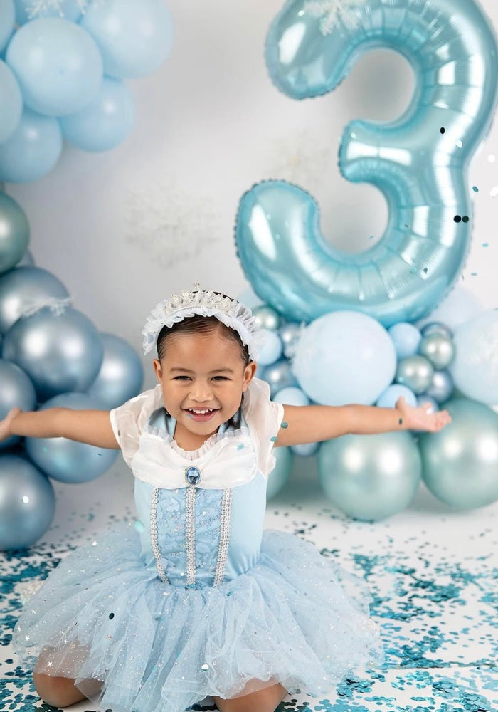 New Snow Princess Birthday Tutu - Fox Baby & Co