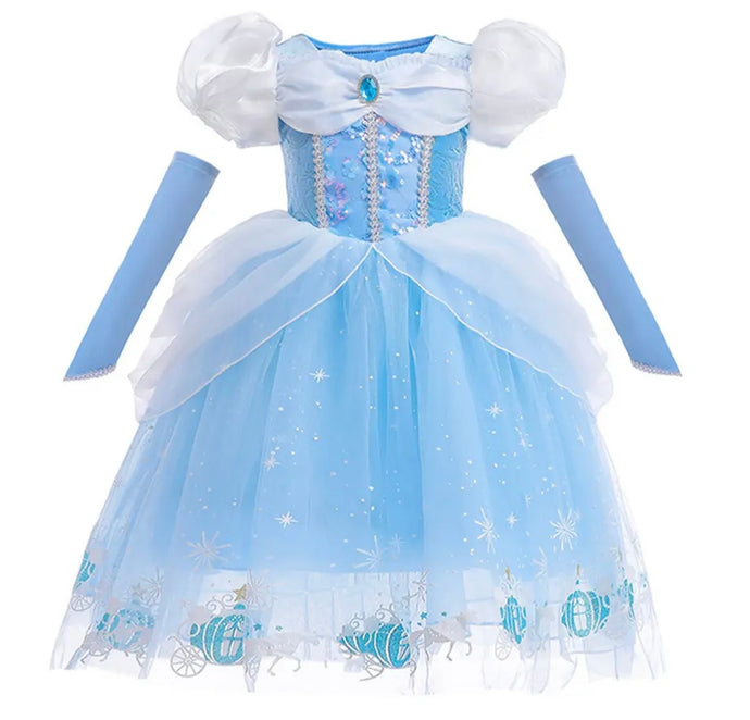 Enchanted Snow Princess Birthday Party Dress Costume with fingerless gloves (Pre order)