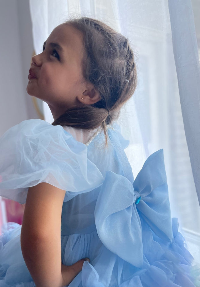 Bluebell Luxe Princess Birthday Party Dress Costume - Fox Baby & Co