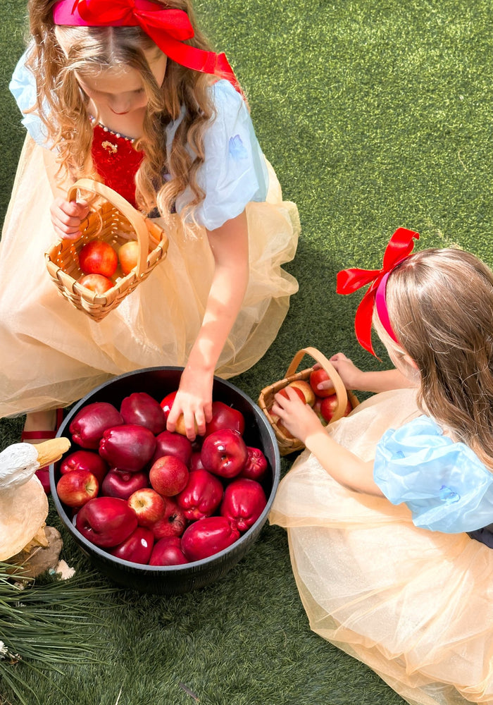 Magical Snow White Luxe Princess Party Dress Costume - Fox Baby & Co