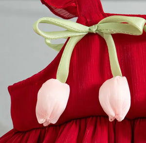 Spring Tulip Puff Frill Dress (pre order)