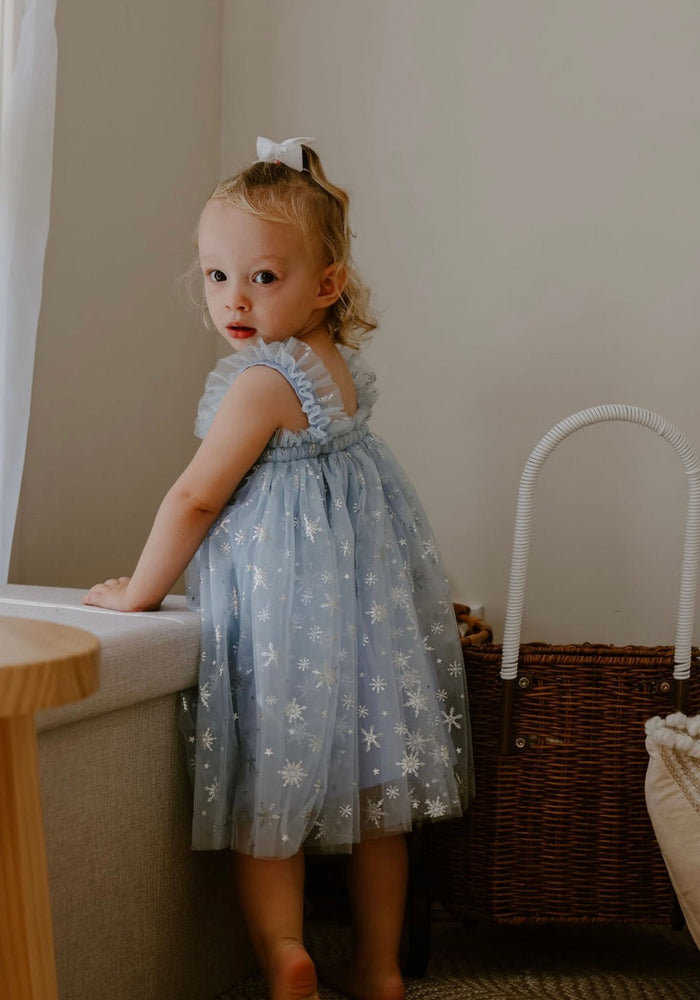 1st Birthday Kids little girls Elsa Tulle Fairy Birthday Dress - Blue - Fox Baby & Co