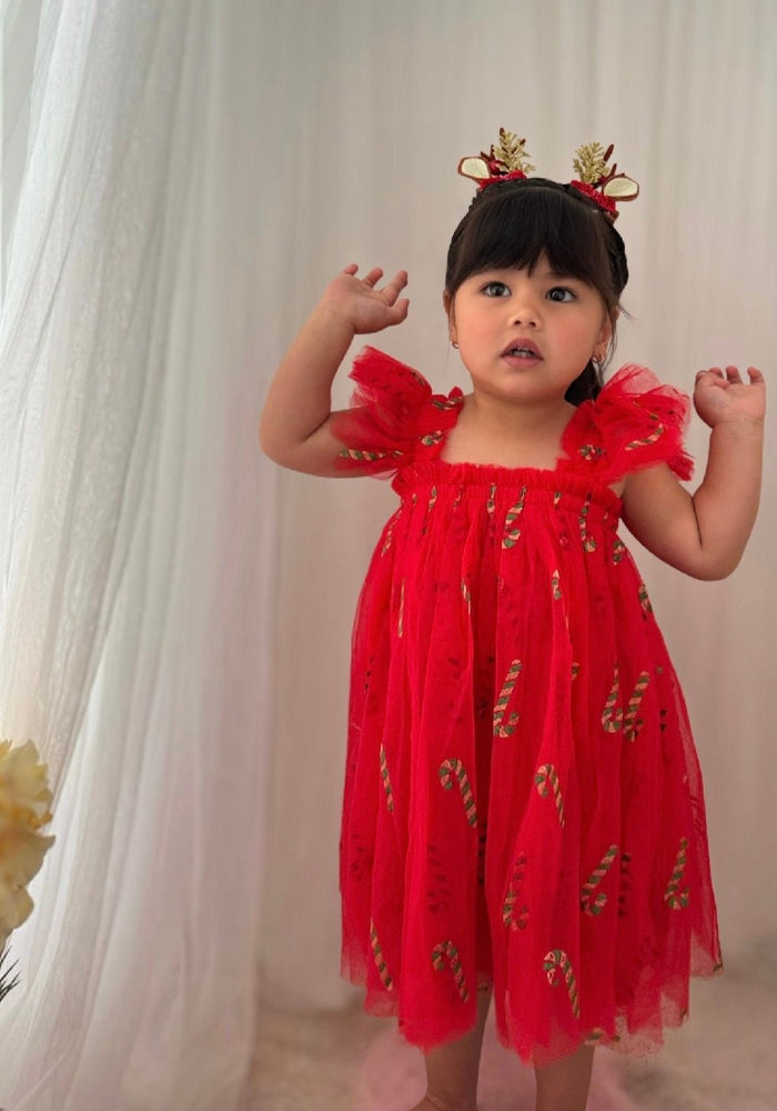 Christmas Mystery Dress - Limited Stock $45 - Fox Baby & Co