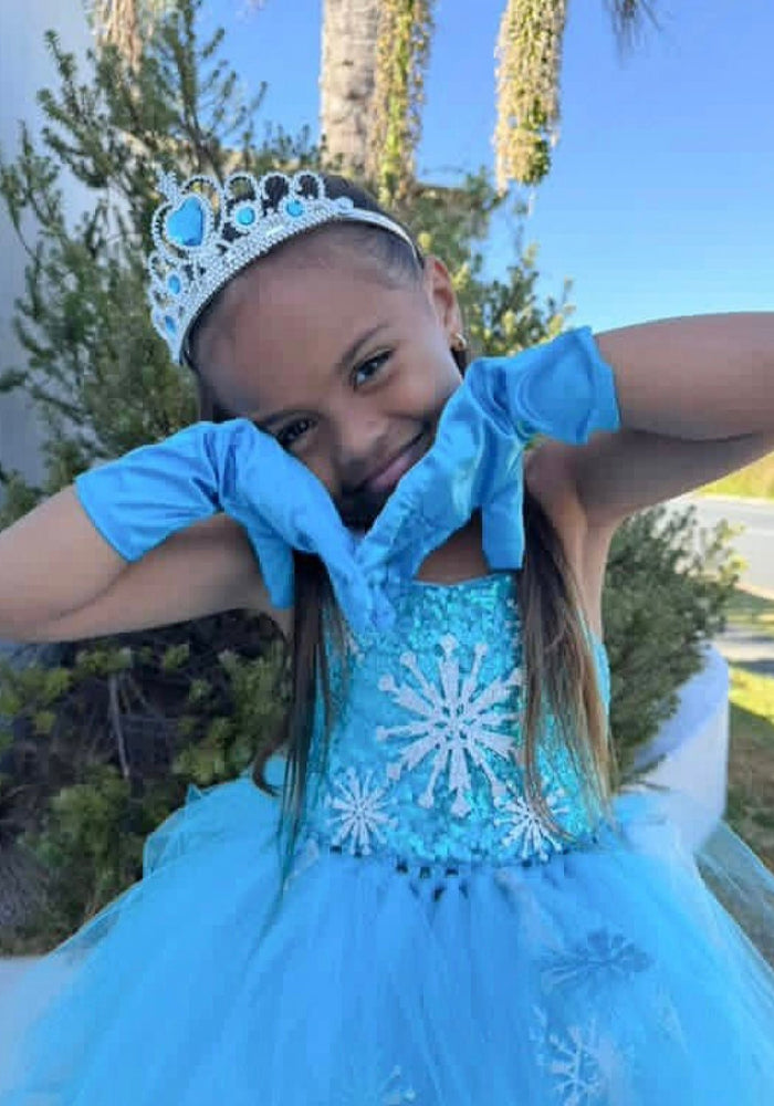 Elsa Snow Princess Tulle Tutu Dress Costume with Jewellery Set - Fox Baby & Co