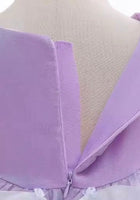 Load image into Gallery viewer, Classic Rapunzel Princess Luxe Party Dress Costume (pre order) - Fox Baby &amp; Co
