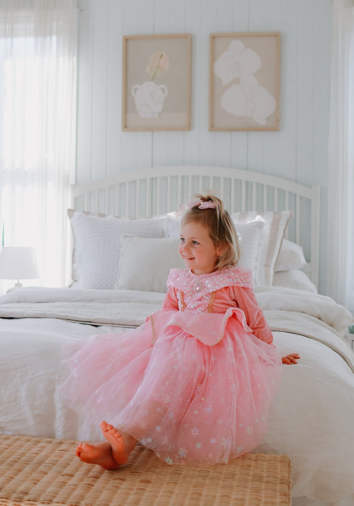 Enchanted Pink Princess Birthday Long Sleeve Party Dress Costume - Fox Baby & Co