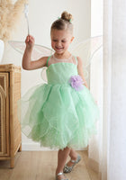 Load image into Gallery viewer, Original Tinkerbell Fairy Princess Dress &amp; matching Wings - Fox Baby &amp; Co
