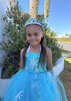 Load image into Gallery viewer, Elsa Snow Princess Tulle Tutu Dress Costume with Jewellery Set - Fox Baby &amp; Co
