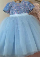 Load image into Gallery viewer, Pre order- Kid little girl Sapphire Sparkle Princess Birthday Dress
