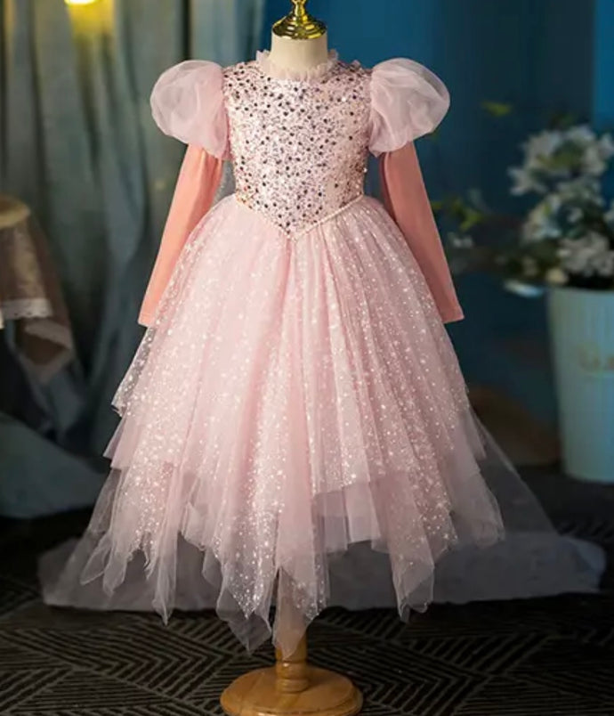 Enchanted Rose Sparkle Princess Birthday Long Sleeve Party Dress Costume