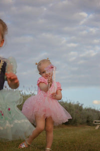 Pretty Pink Princess Birthday Tutu - Fox Baby & Co