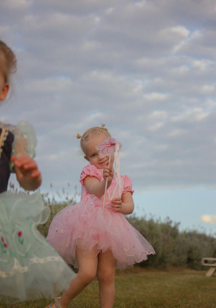 Pretty Pink Princess Birthday Tutu - Fox Baby & Co