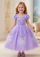 Load image into Gallery viewer, Sofia the First Princess Party Dress Costume (limited edition) - Fox Baby &amp; Co
