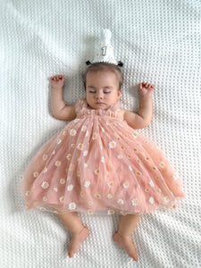 1st Birthday Kids little girl Arabella Daisy Tulle Dress - Pink/Yellow - Fox Baby & Co