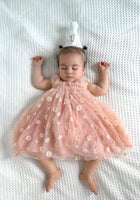 Load image into Gallery viewer, 1st Birthday Kids little girl Arabella Daisy Tulle Dress - Pink/Yellow - Fox Baby &amp; Co
