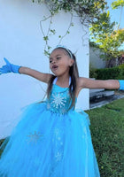 Load image into Gallery viewer, Elsa Snow Princess Tulle Tutu Dress Costume with Jewellery Set - Fox Baby &amp; Co
