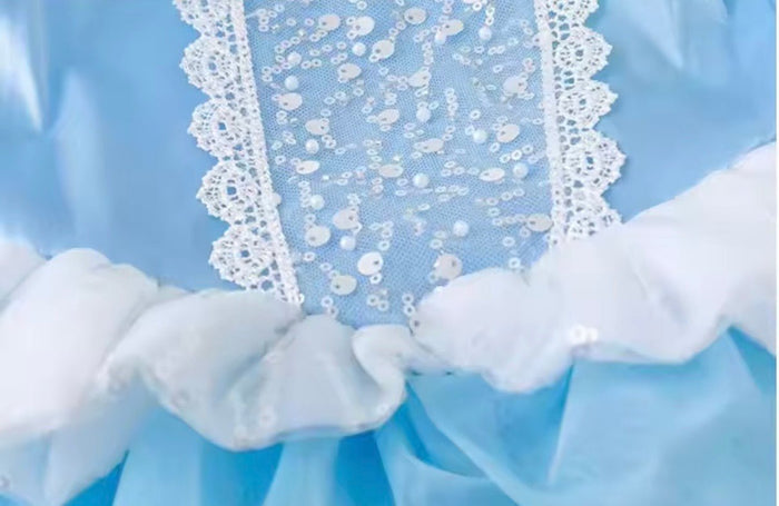 Cinderella Enchanted Castle Luxe Dress & Gloves - Fox Baby & Co