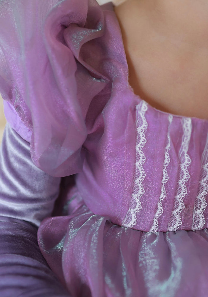 Classic Rapunzel Long Sleeve Princess Luxe Party Dress Costume (pre order) - Fox Baby & Co