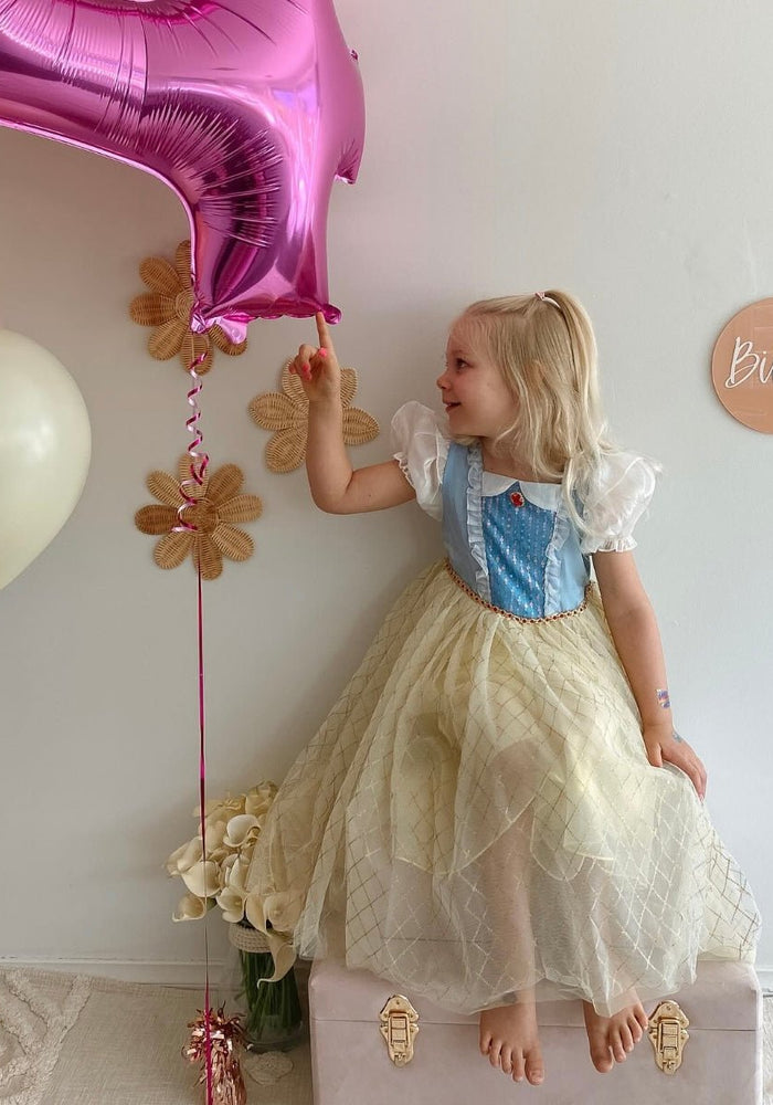 Magical Princess Birthday Party Dress Costume - Fox Baby & Co