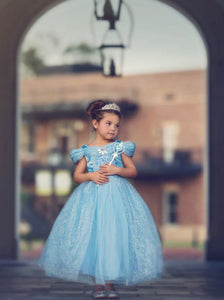 Classic Cinderella Princess Party Dress Costume - Fox Baby & Co