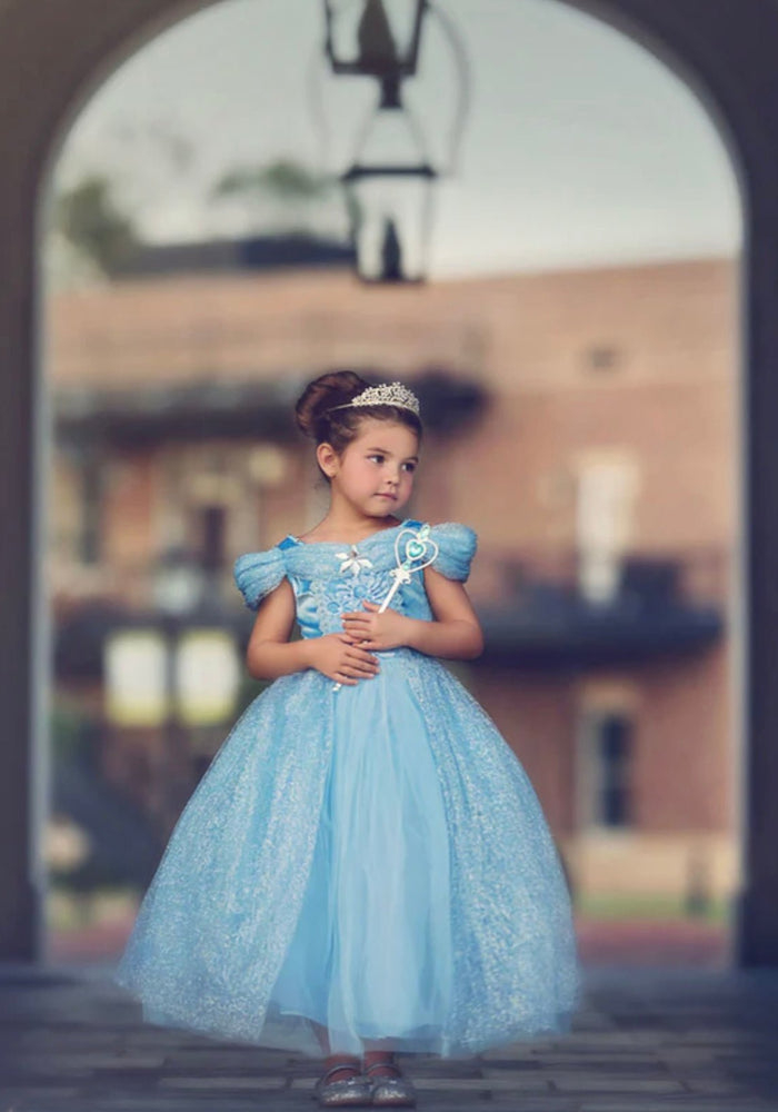 Classic Cinderella Princess Party Dress Costume - Fox Baby & Co