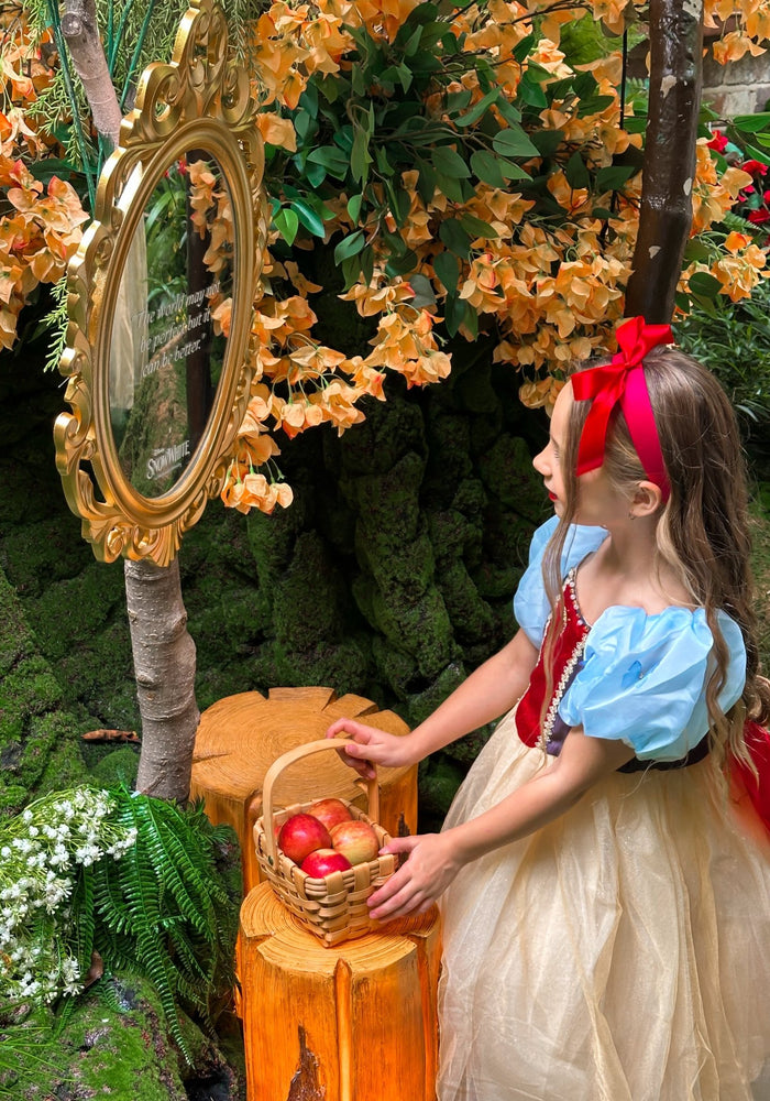 Magical Snow White Luxe Princess Party Dress Costume - Fox Baby & Co