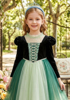 Load image into Gallery viewer, Anna Princess Party Long Sleeve Dress Costume - Fox Baby &amp; Co
