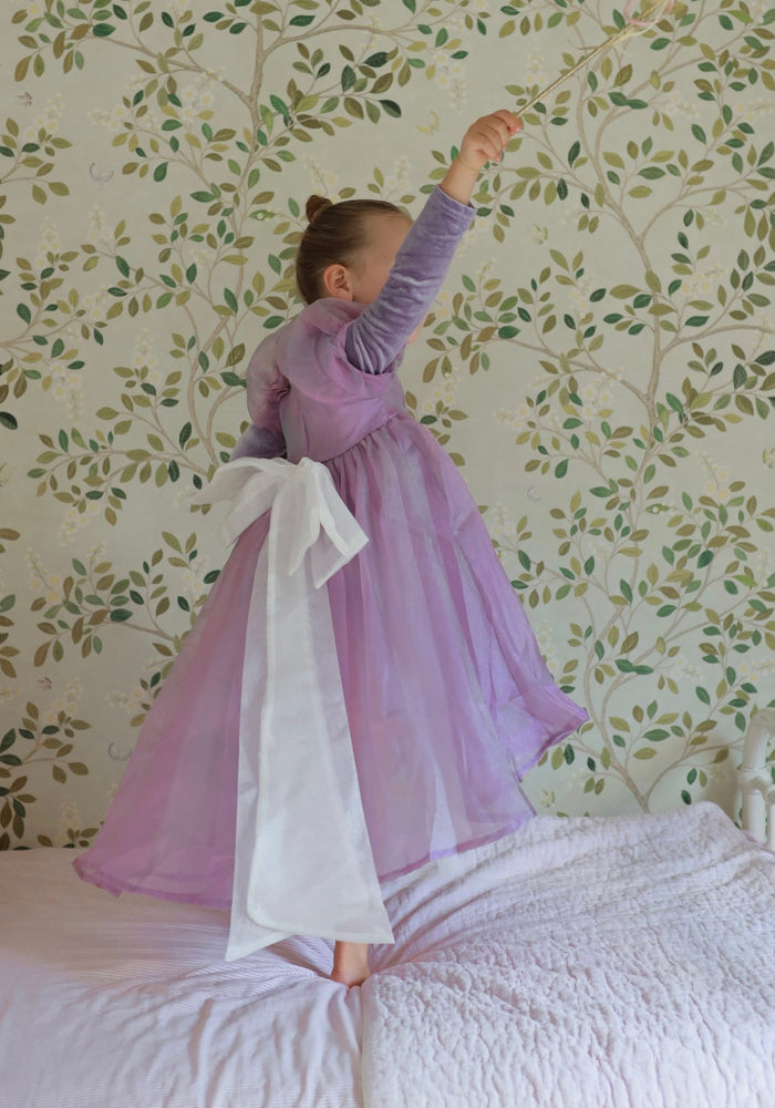 Classic Rapunzel Long Sleeve Princess Luxe Party Dress Costume (pre order) - Fox Baby & Co