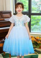 Load image into Gallery viewer, Elsa Lace Princess Party Dress Costume &amp; Cape - Blue - Fox Baby &amp; Co

