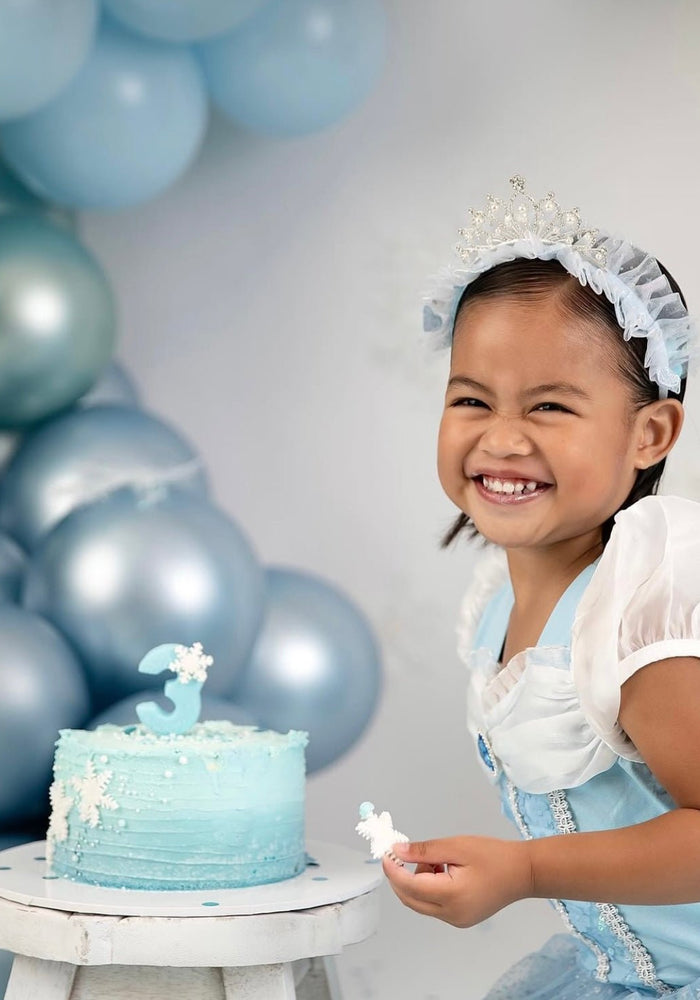 New Snow Princess Birthday Tutu - Fox Baby & Co