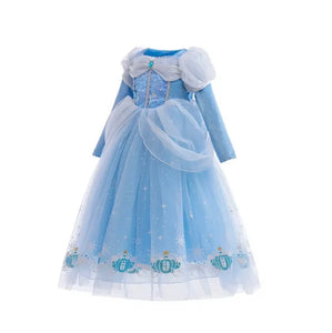 Enchanted Snow Princess Long Sleeve Birthday Party Dress Costume (Pre order)