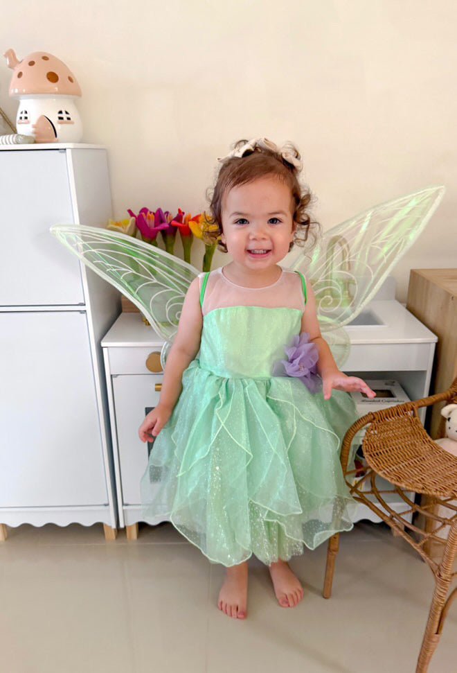 Tinker Fairy Princess Dress & matching Wings - Fox Baby & Co