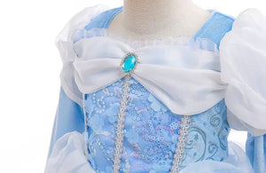 Enchanted Snow Princess Long Sleeve Birthday Party Dress Costume (Pre order)