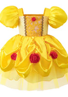 Load image into Gallery viewer, New Mini Baby Belle Luxe Princess Birthday Party Dress - Fox Baby &amp; Co
