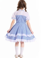 Load image into Gallery viewer, 💙 Dorothy Blue Gingham Storybook Dress - Fox Baby &amp; Co
