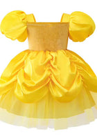 Load image into Gallery viewer, New Mini Baby Belle Luxe Princess Birthday Party Dress - Fox Baby &amp; Co
