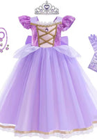 Load image into Gallery viewer, New Purple Princess Birthday Party Dress Costume &amp; Jewellery Set - Fox Baby &amp; Co
