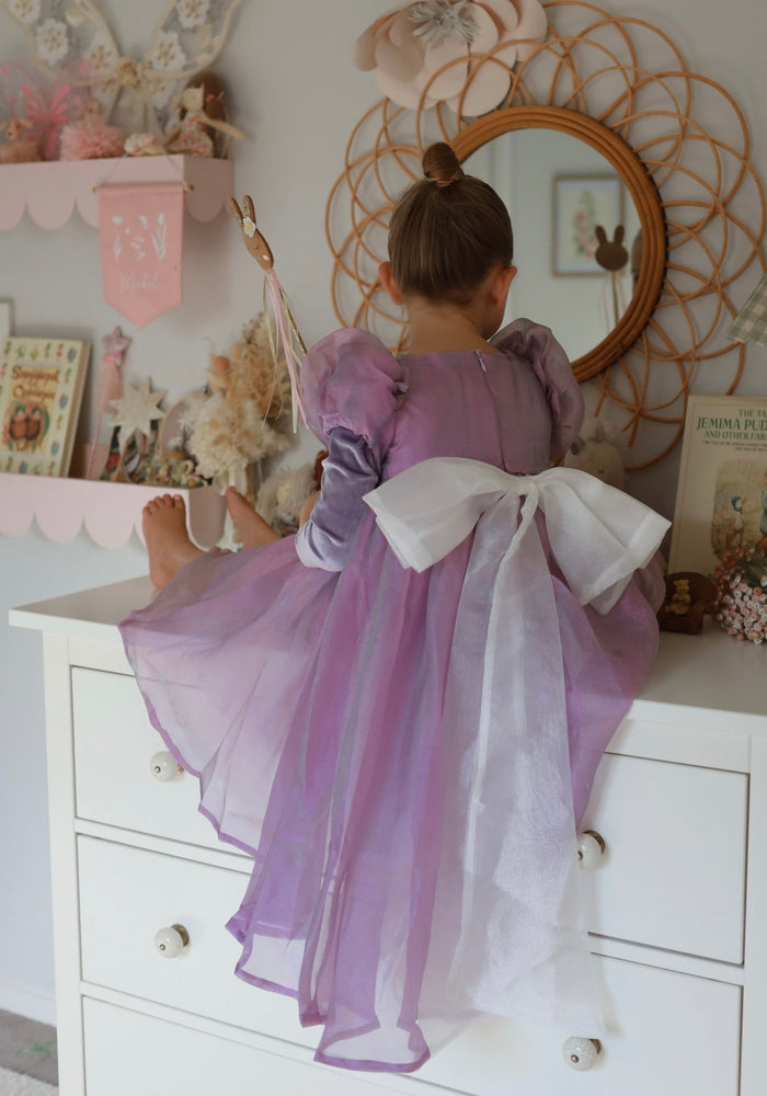 Classic Rapunzel Long Sleeve Princess Luxe Party Dress Costume (pre order) - Fox Baby & Co