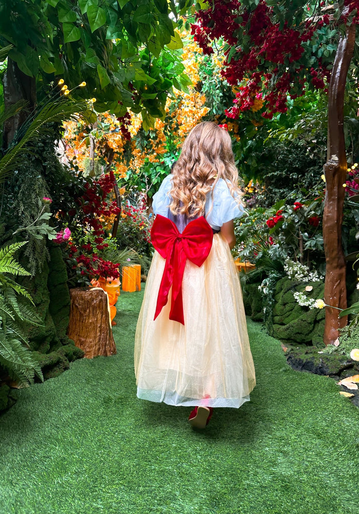 Magical Snow White Luxe Princess Party Dress Costume - Fox Baby & Co