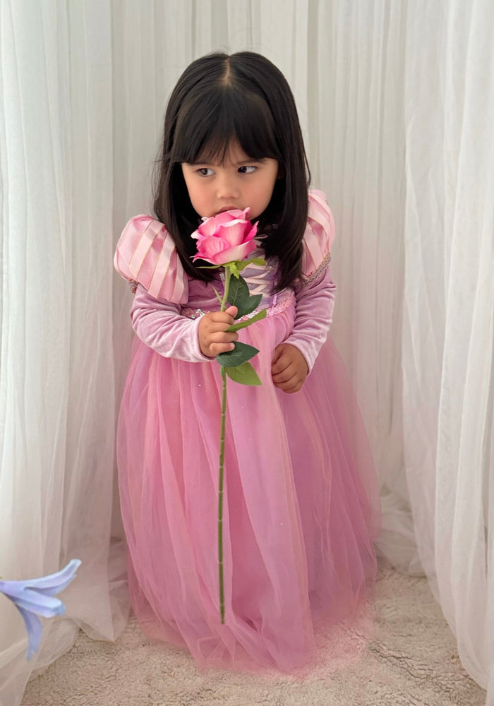 Enchanted Purple Princess Birthday Long Sleeve Party Dress Costume - Fox Baby & Co