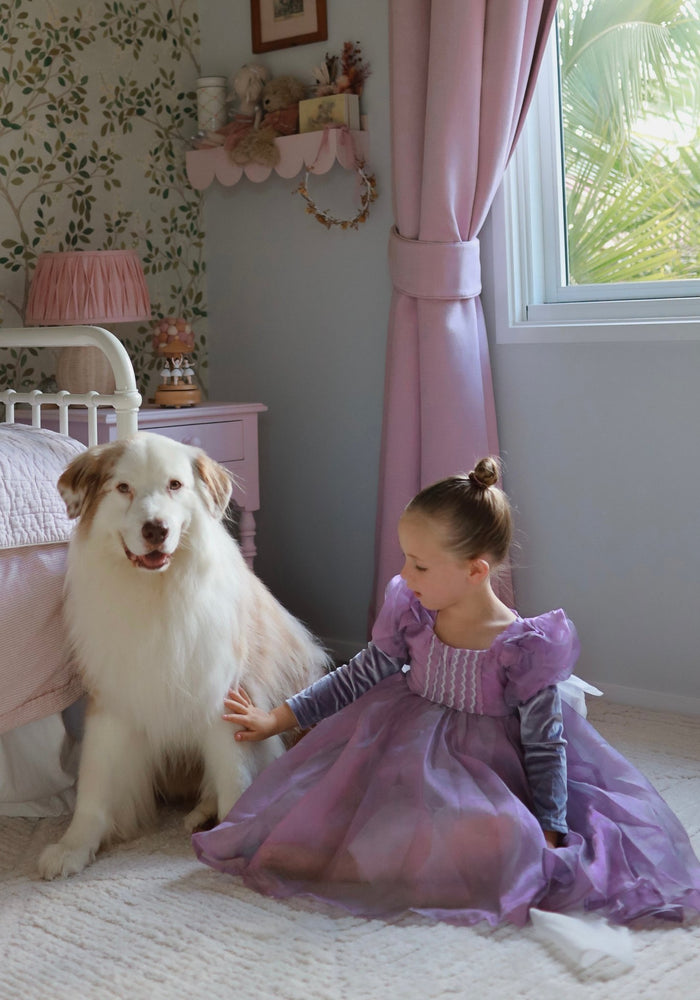 Classic Rapunzel Long Sleeve Princess Luxe Party Dress Costume (pre order) - Fox Baby & Co