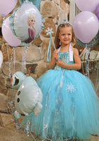 Load image into Gallery viewer, Elsa Snow Princess Tulle Tutu Dress Costume with Jewellery Set - Fox Baby &amp; Co

