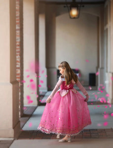 Aurora Pink Princess Long Sleeve Party Dress Costume - Fox Baby & Co