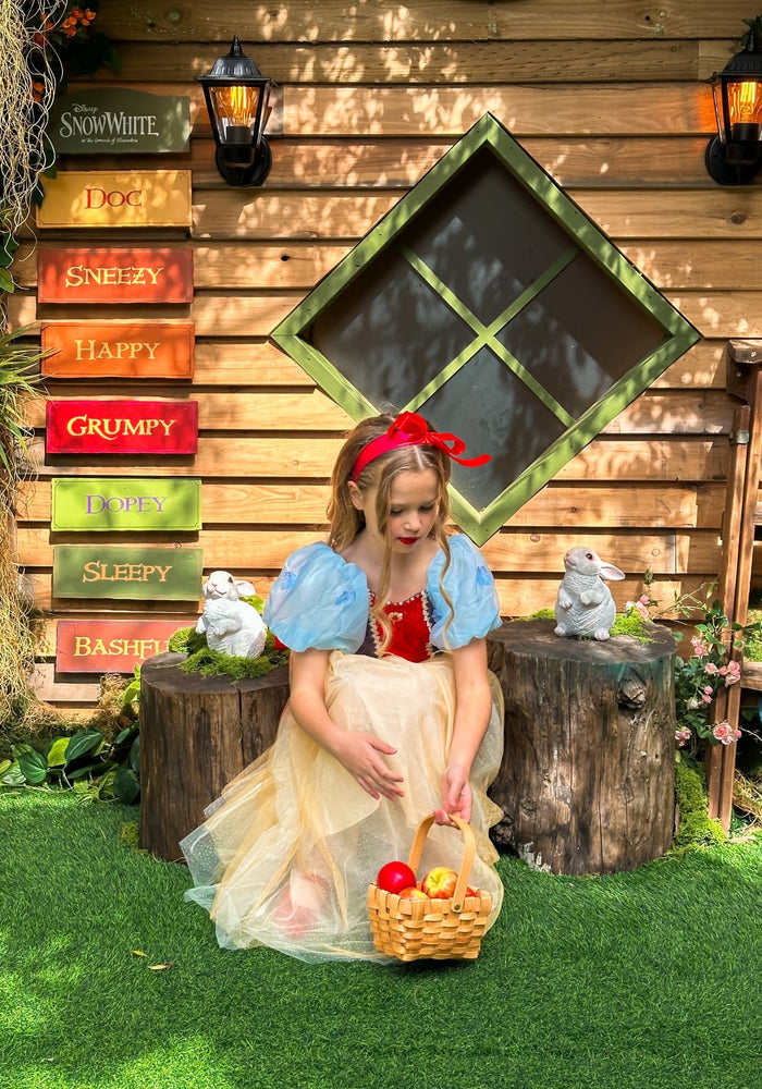 Magical Snow White Luxe Princess Party Dress Costume - Fox Baby & Co