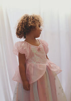 Load image into Gallery viewer, Rainbow Fairyfloss Princess Birthday Party Dress with cape - Fox Baby &amp; Co
