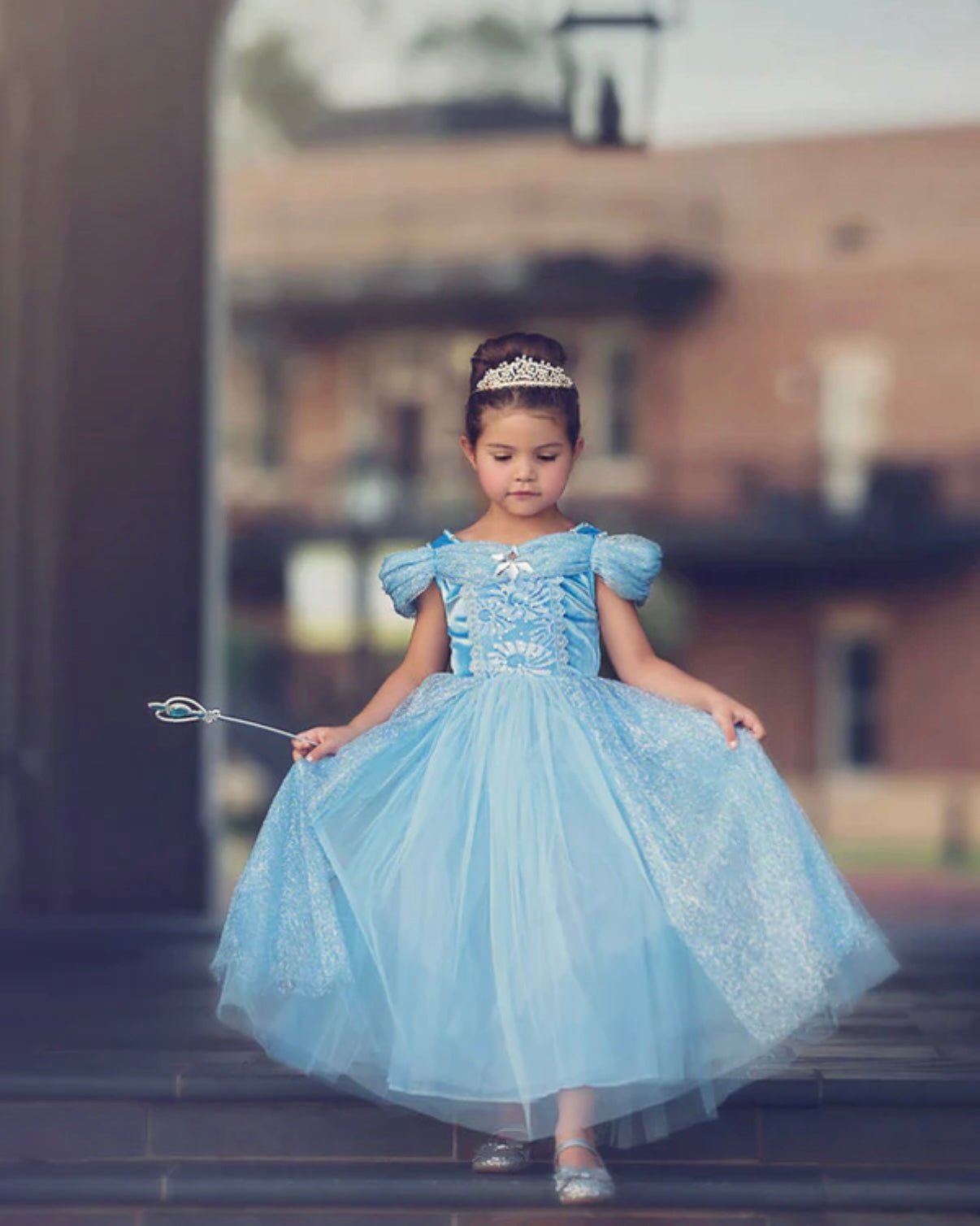Classic Cinderella Princess Party Dress Costume - Fox Baby & Co