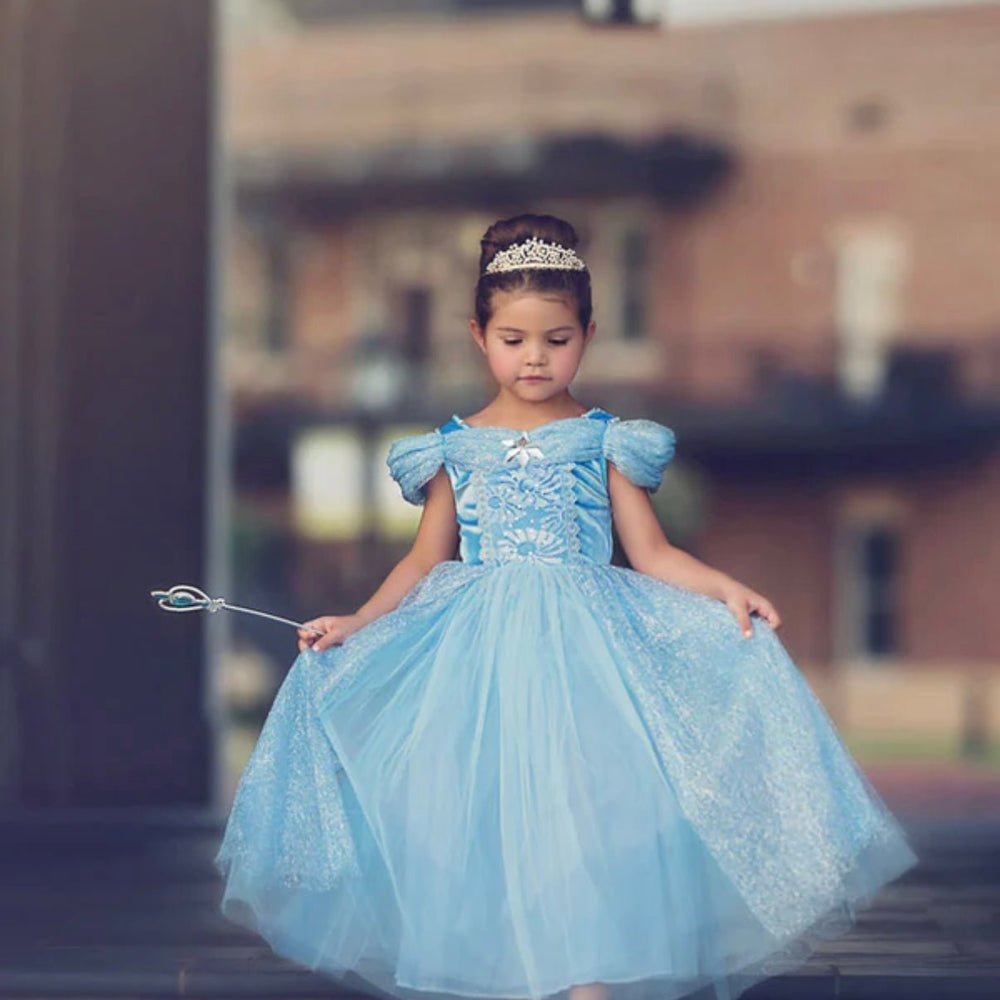 Classic Cinderella Princess Party Dress Costume - Fox Baby & Co